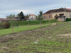 WhatsApp Image 2025-12-22 at 12.49.20.jpeg